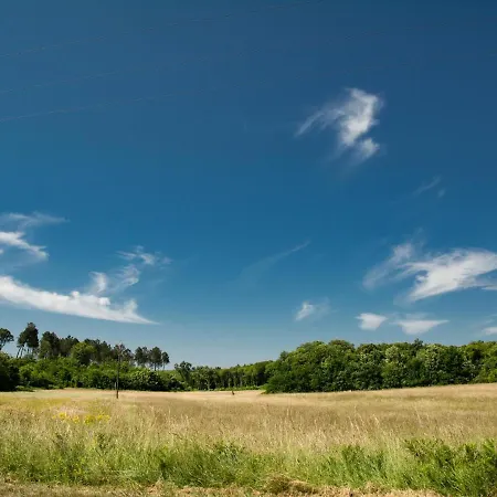 Les Vitarelles * Besse (Dordogne)