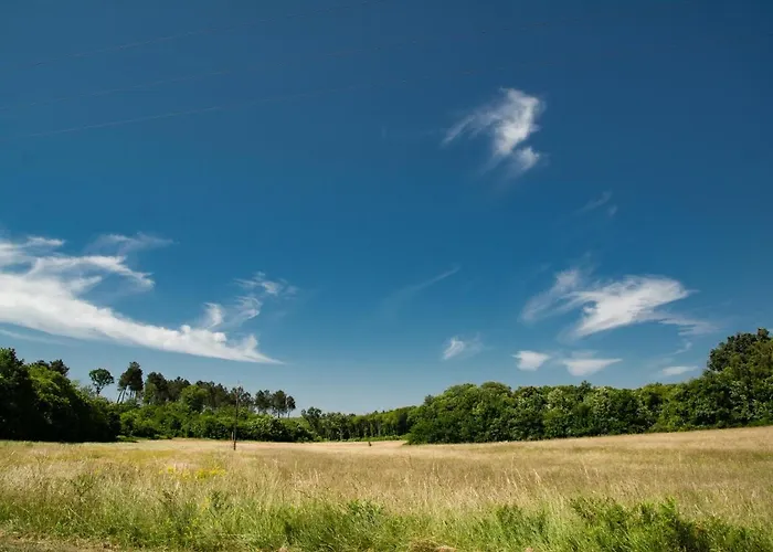 Les Vitarelles * Besse